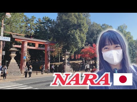 Видео: [Путешествие по Японии] Нара Влог