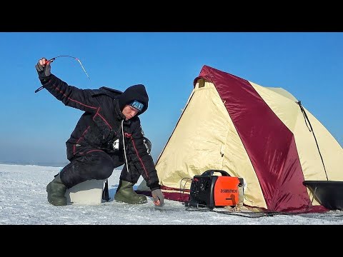 Видео: ЗАПРЕЩЁННЫЙ УЛОВ и РЫБАЛКА НА ОПАСНОЙ ЛЬДИНЕ! КРУПНЫЙ ШТРАФ ЗА ТАКИХ РЫБ!