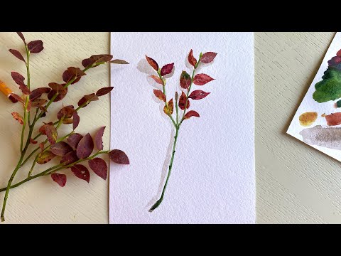 Видео: Осенние рисунки. Пишем акварелью красную веточку черники. Рисование онлайн