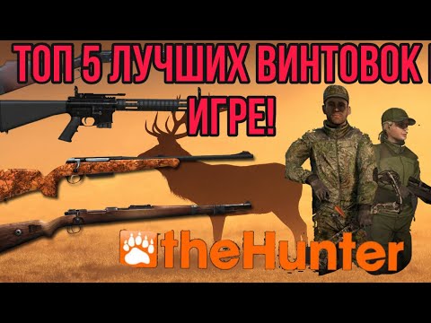 Видео: theHunter Classic Топ 5 лучших винтовок в игре!