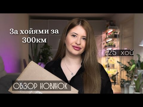 Видео: Обзор новинок Хойи , февраль