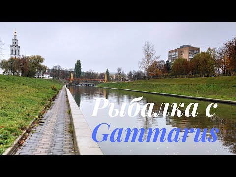 Видео: 019 - Рыбалка с Gammarus-ом