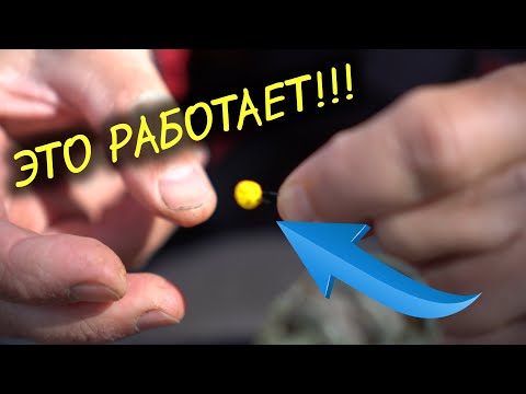 Видео: Насадка на КРУПНОГО КАРАСЯ! Пуфы в деле. Ловим много карася на фидер