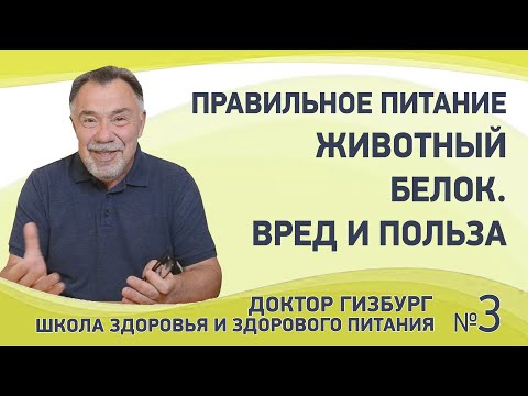 Видео: Правильное питание. Животный белок. Вред и польза.