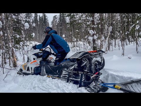 Видео: Поедет по пухлому снегу или нет? / ЗА ДРОВАМИ на снегоходе STELS VIKING 600 / Природа севера