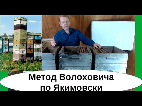 Видео: Метод пчеловодства Волоховича в ульях Рут, сравнение с ульями-лежаками Якимова