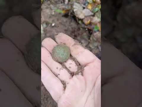 Видео: Рассыпуха Анны Иоанновны