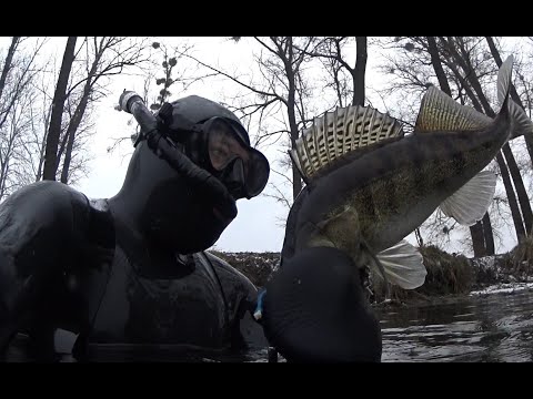 Видео: ПОДВОДНАЯ ОХОТА. Лайфхак который тебя убьёт!