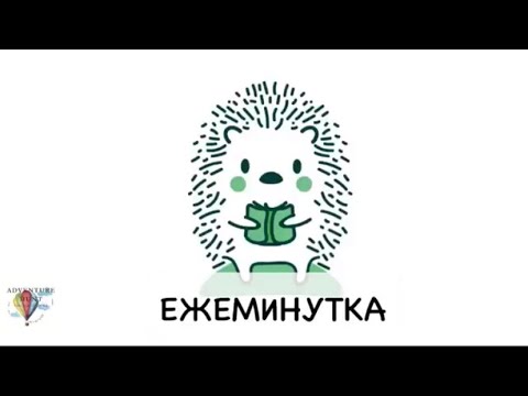 Видео: Ежеминутка