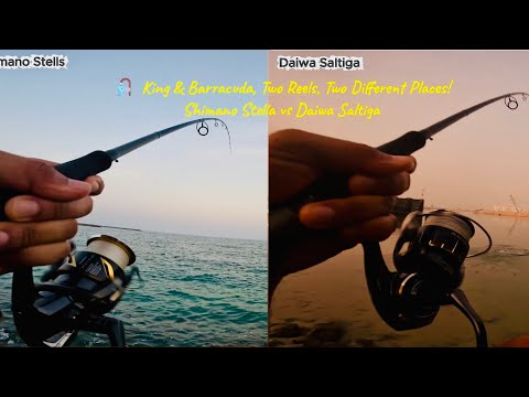 Видео: 🎣 King и Barracuda, две катушки, два разных места! Shimano Stella против Daiwa Saltiga