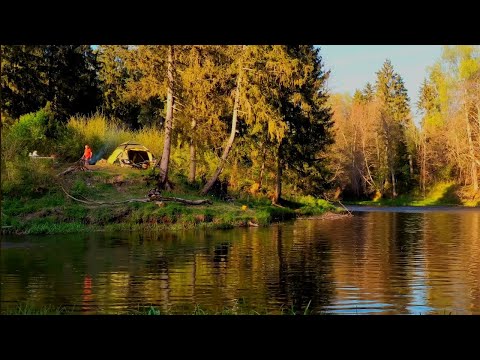 Видео: Рыбалка с ночёвками на лесной речке. Коптим рыбу. Походная баня. Вода кипит от рыбы.