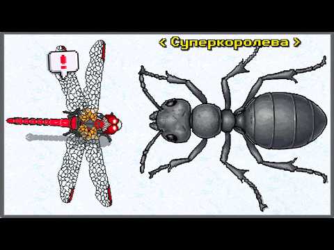Видео: КЛАНОВЫЕ ВОЙНЫ И НОВЫЙ РЕСУРС ШЁЛК! БОЛЬШОЕ ОБНОВЛЕНИЕ — Pocket Ants: Симулятор Колонии