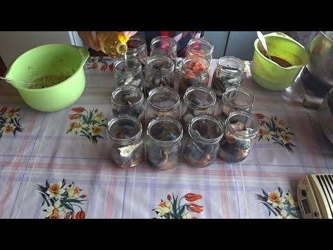 Видео: Автоклав Домашний Стандарт.  Консервы из рыбы. Горбуша, иваси, килька, скумбрия.