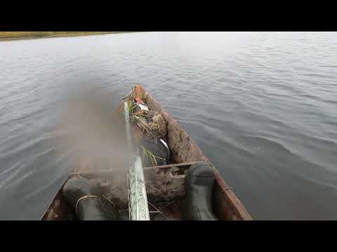 Видео: Охота на уток ..осень 2023