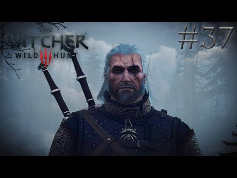 Видео: КАК Я ПОЕХАЛ НА СКЕЛЛИГЕ | Ведьмак 3: Дикая Охота (The Witcher 3: Wild Hunt) #37