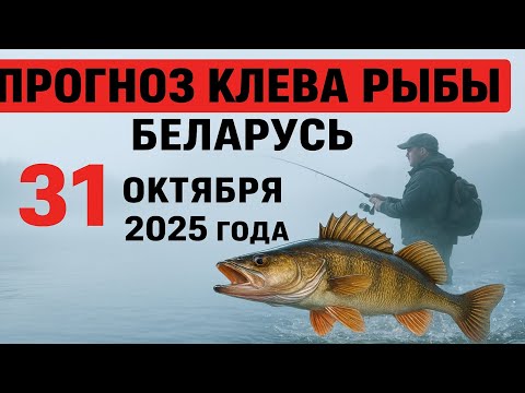 Видео: ПРОГНОЗ КЛЁВА в Беларуси на 31 октября 2025 года Бросай все и на рыбалку!