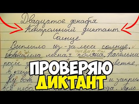 Видео: Контрольный диктант😭