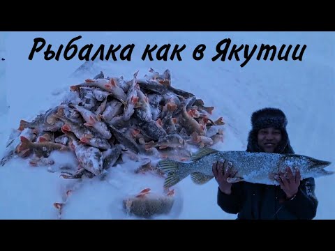 Видео: Первый лёд 2020-2021! Рыбалка как в Якутии! Трофейная щука! Клюёт как из пулемета! Заповедник!