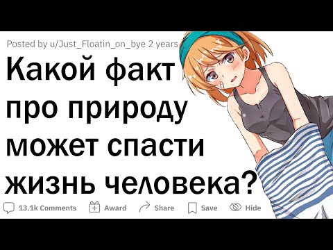 Видео: Это видео может спасти вам жизнь