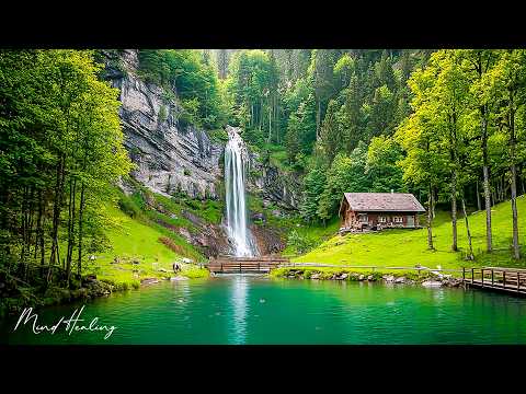 Видео: Музыкальная терапия 🌿Успокаивает нервную систему и освежает душу, расслабляя #22