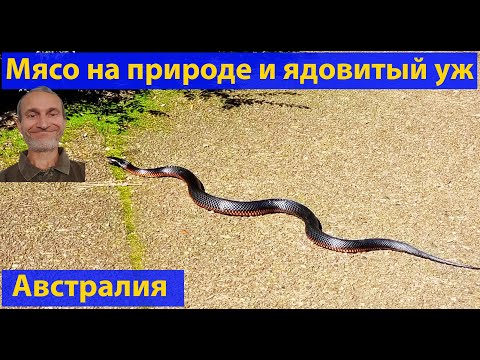 Видео: Еще раз об австралийской деревне в горах. (видео 585)