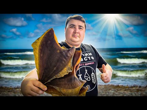 Видео: КОРОЛЕВСКАЯ камбала холодного копчения. Рецепт тузлука. ENG SUB