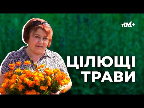 Видео: Чорнобривців насіяла лікарка-фітотерапевтка з Варви Алла Борщ аби лікувати та зцілювати людей