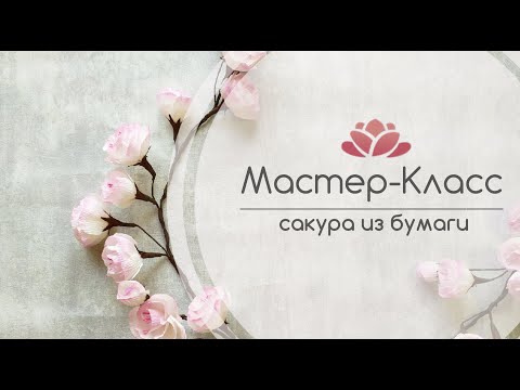 Видео: Бесплатный Мастер-Класс Сакура из бумаги