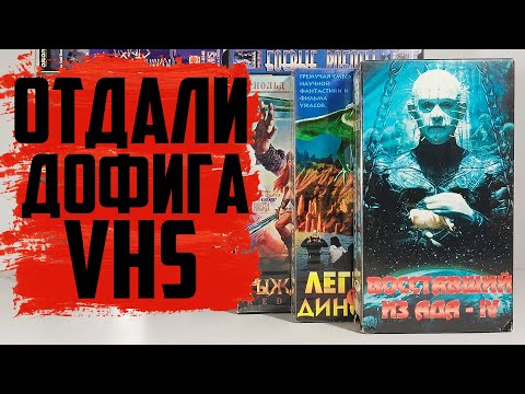 Видео: Отдали КУЧУ VHS в 2025 году