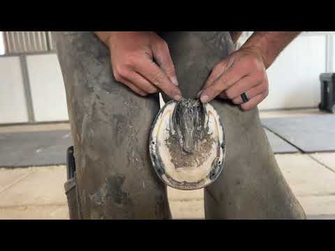 Видео: Делаем это просто