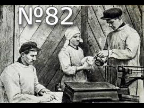Видео: №82 | Суточный привес на "ВЕГА" корме.
