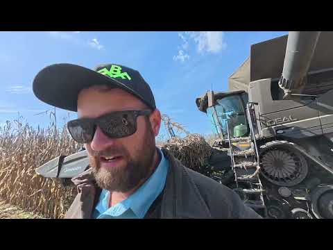 Видео: Думаю, у меня есть Волшебное Прикосновение.