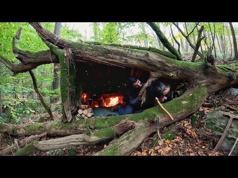 Видео: 7 дней одиночного выживания в кемпинге в тропическом лесу, строительство теплого приюта Bushcraft