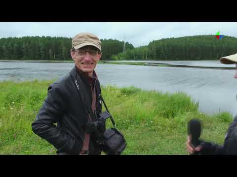 Видео: Фотоохота на птиц с Павлом Федоровским