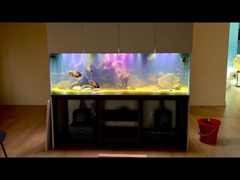 Видео: Аквариумпермь.рф - №14  - два хардскейпа для малавийских и центрально-американских цихлид(250 и 680)