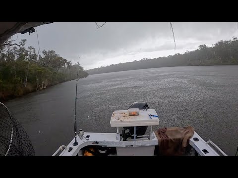 Видео: Соревнования по ловле черного леща Molloy, день 2, 2025