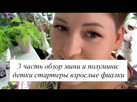 Видео: 3 часть обзора мини и полумини : детки стартеры и взрослые фиалки 21.08.25