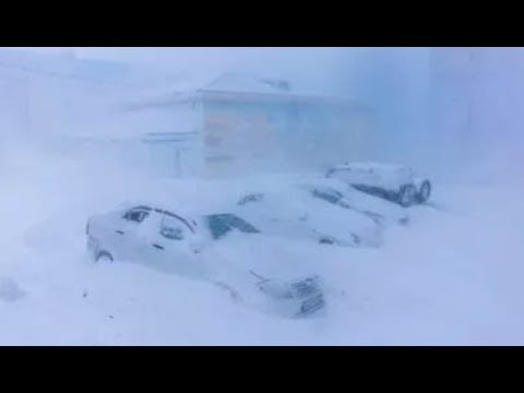 Видео: пурга в Анадыре