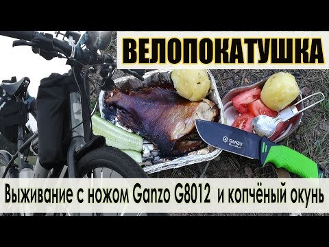 Видео: Велопокатушка: Выживание с ножом Ganzo G8012 и копченый окунь.