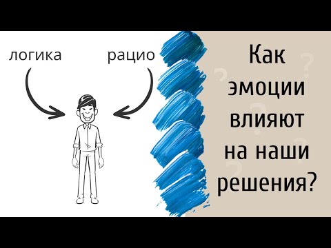 Видео: Как эмоции влияют на наши решения? | Книжный Сок