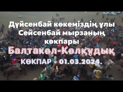 Видео: Балтакөл- Көлқұдық ауылы Асыловтар әулеті Дүйсенбай көкеміздің елден бата алу той көкпары 01 03 2024