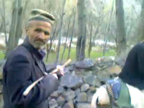 Видео: Шоев Сангинбой. Гирифтори ... Ворӯ