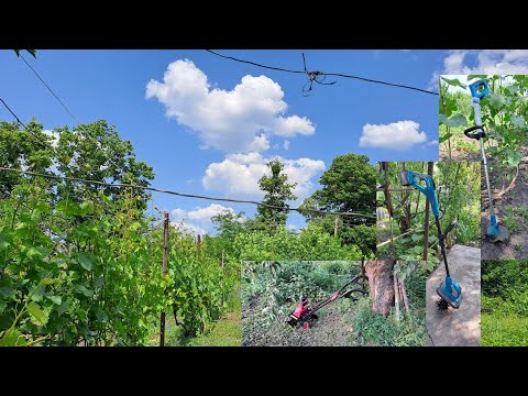 Видео: Купили культиваторы, электрический и аккумуляторный. / не обзор/ 2025 г.