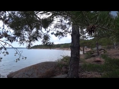 Видео: Отдых на озере Шалкар . Пять дней дикарями .