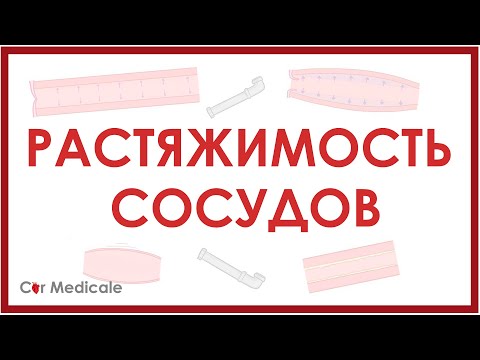 Видео: Растяжимость кровеносных сосудов - физиология сердечно-сосудистой системы