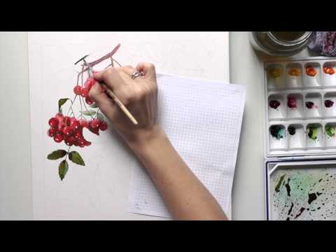 Видео: Акварель | Рябина. (Watercolor | Rowanberry)