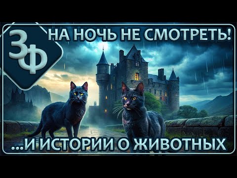 Видео: 190 Истории Зрителей | Вторую часть на ночь не смотреть!