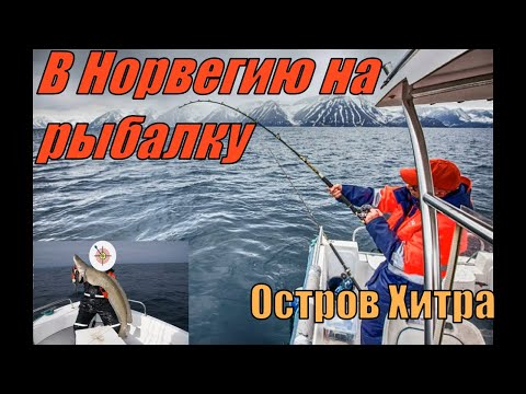 Видео: Лучший день за всю неделю Морской Рыбалки в Норвегии, Рыбалка и Отдых на острове Хитра.