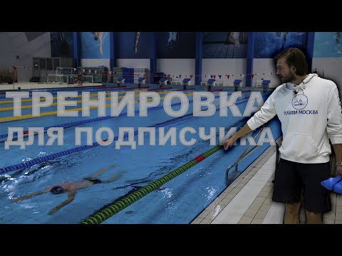 Видео: ТРЕНИРОВКА ДЛЯ ПОДПИСЧИКА | Основы техники плавания кролем