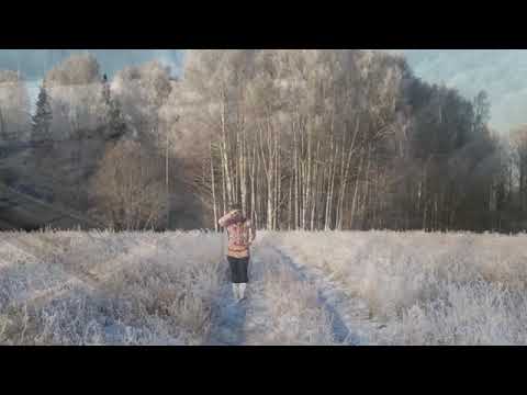 Видео: РОДИНА МОЯ- РУССКАЯ ЗЕМЛЯ! ©  АНДРЕЙ ЧЕШУИН. 